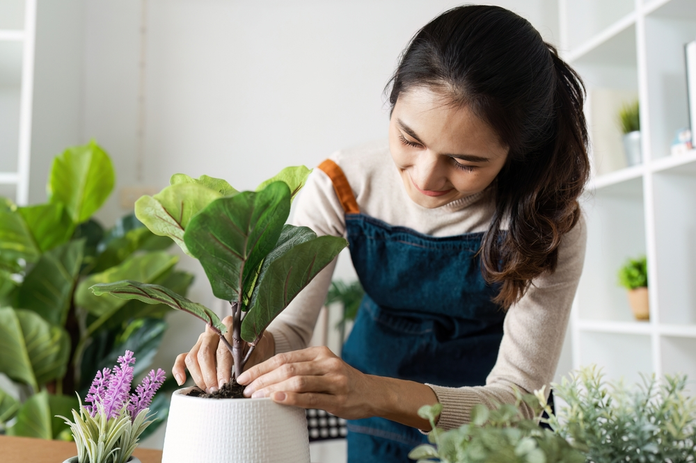 Girl planting indoor plants to decorate and bring colour into the room | Swoosh Finance