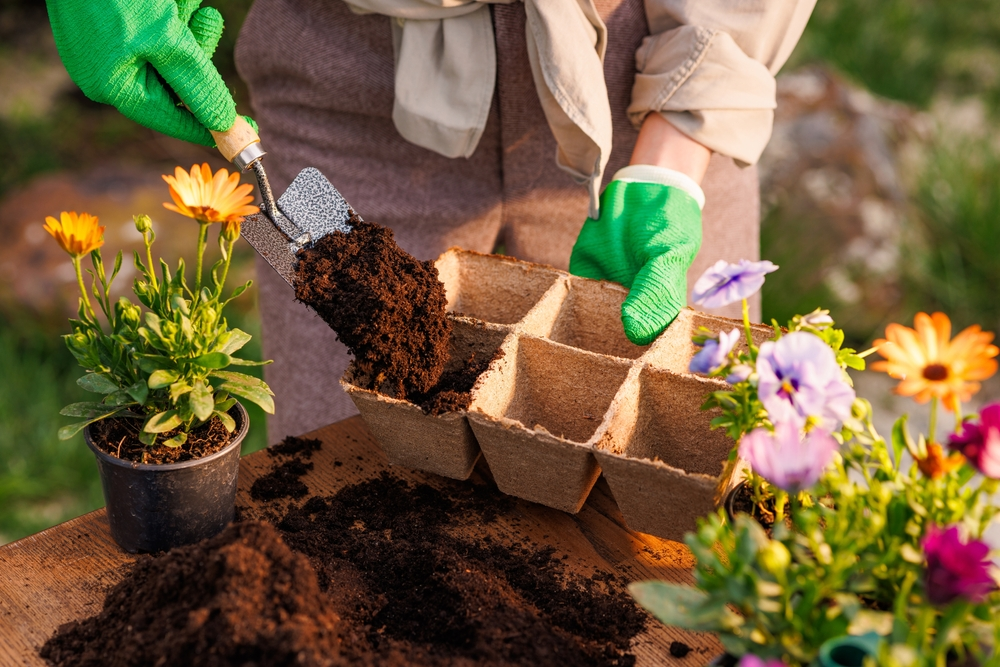 Lady planting fresh flowers for her garden | Swoosh Finance