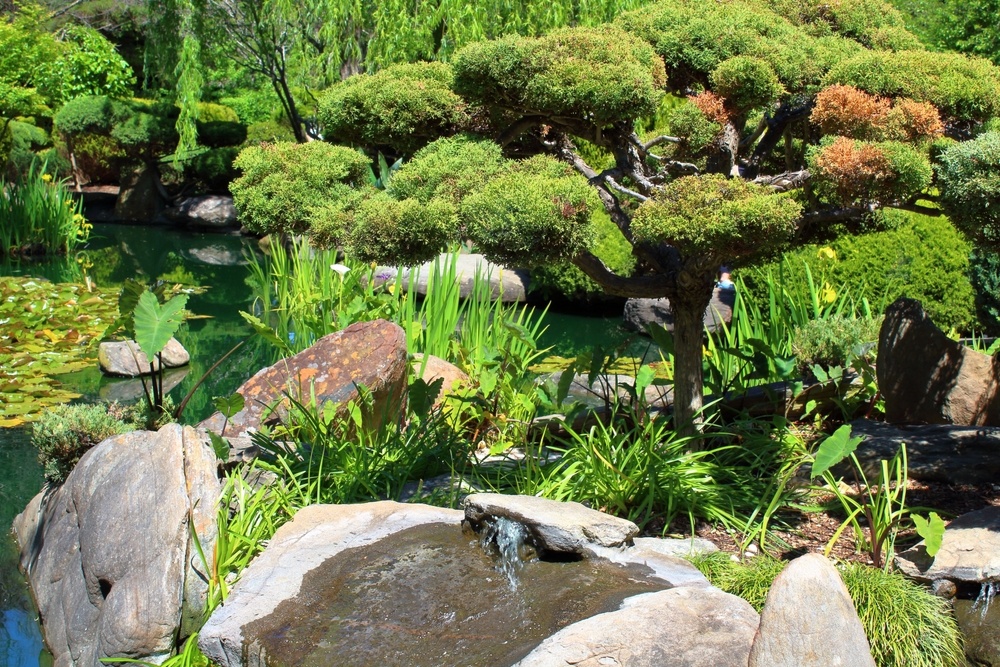 Japanese Gardens in Adelaide | Swoosh Finance