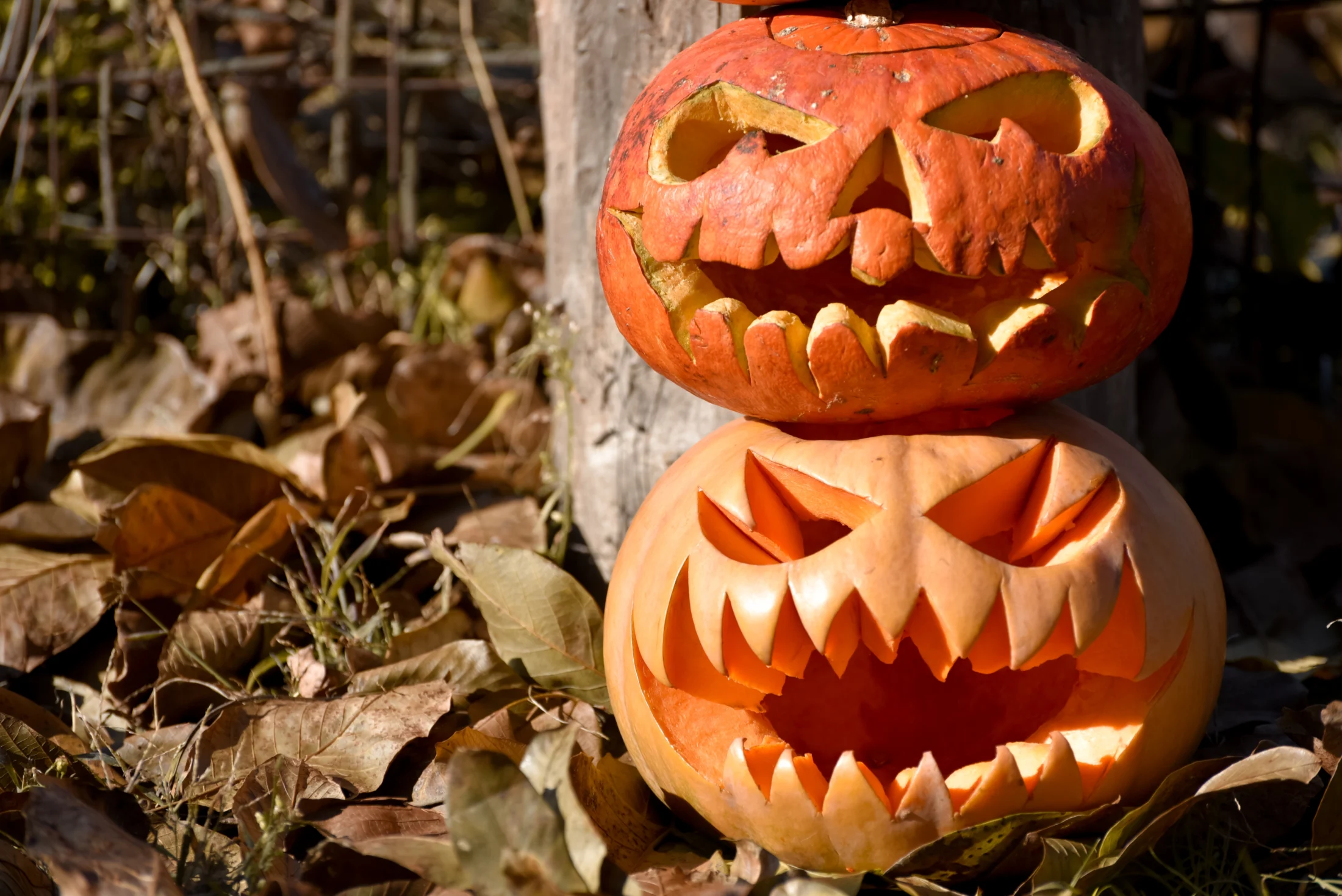 15 Cheap Ideas for DIY Halloween Decorations: Carved pumpkins | Swoosh Finance