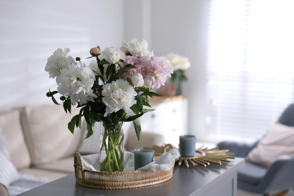 Fresh Flowers to freshen up the space | Swoosh Finance