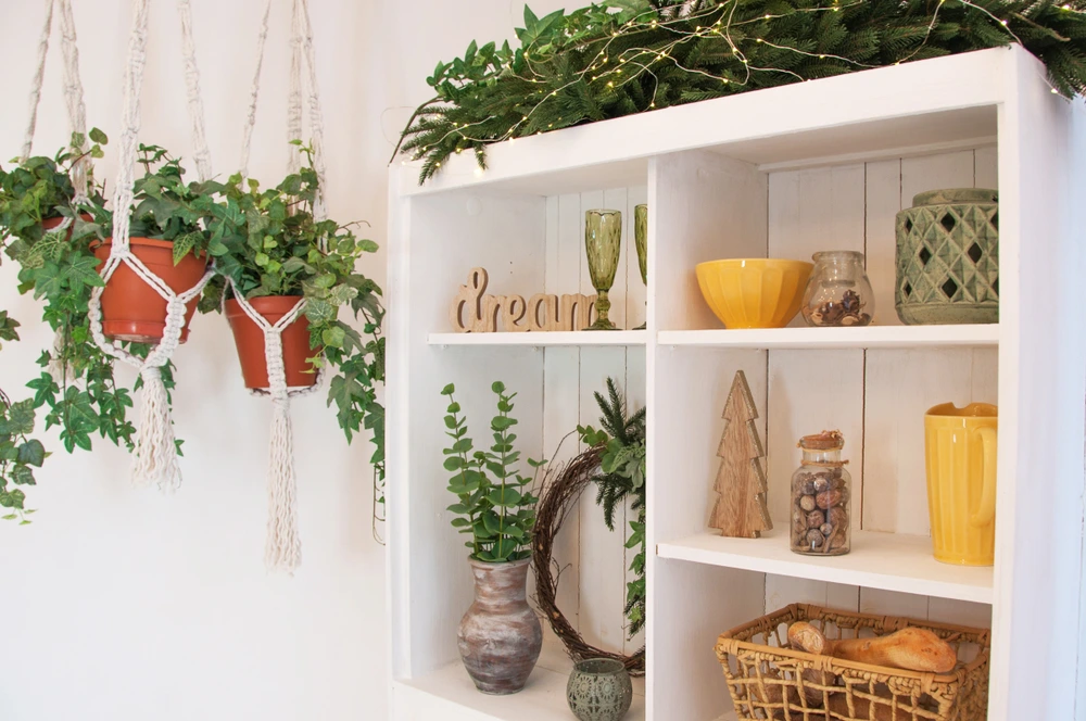 Indoor plants for decor | Swoosh Finance