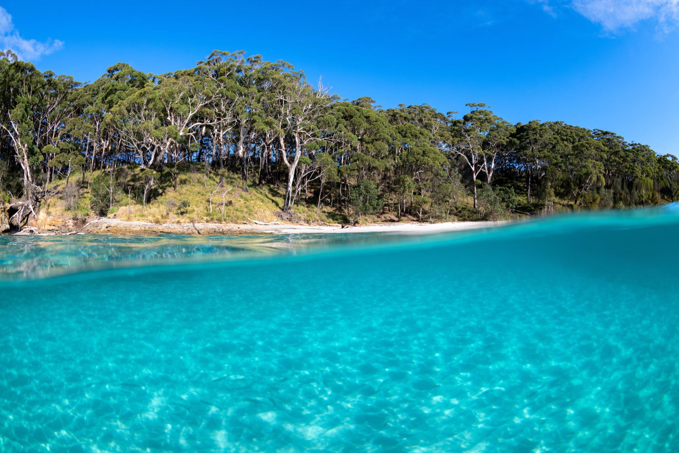 10 Best Cheap Christmas Holiday Destinations; jervis bay | Swoosh Finance