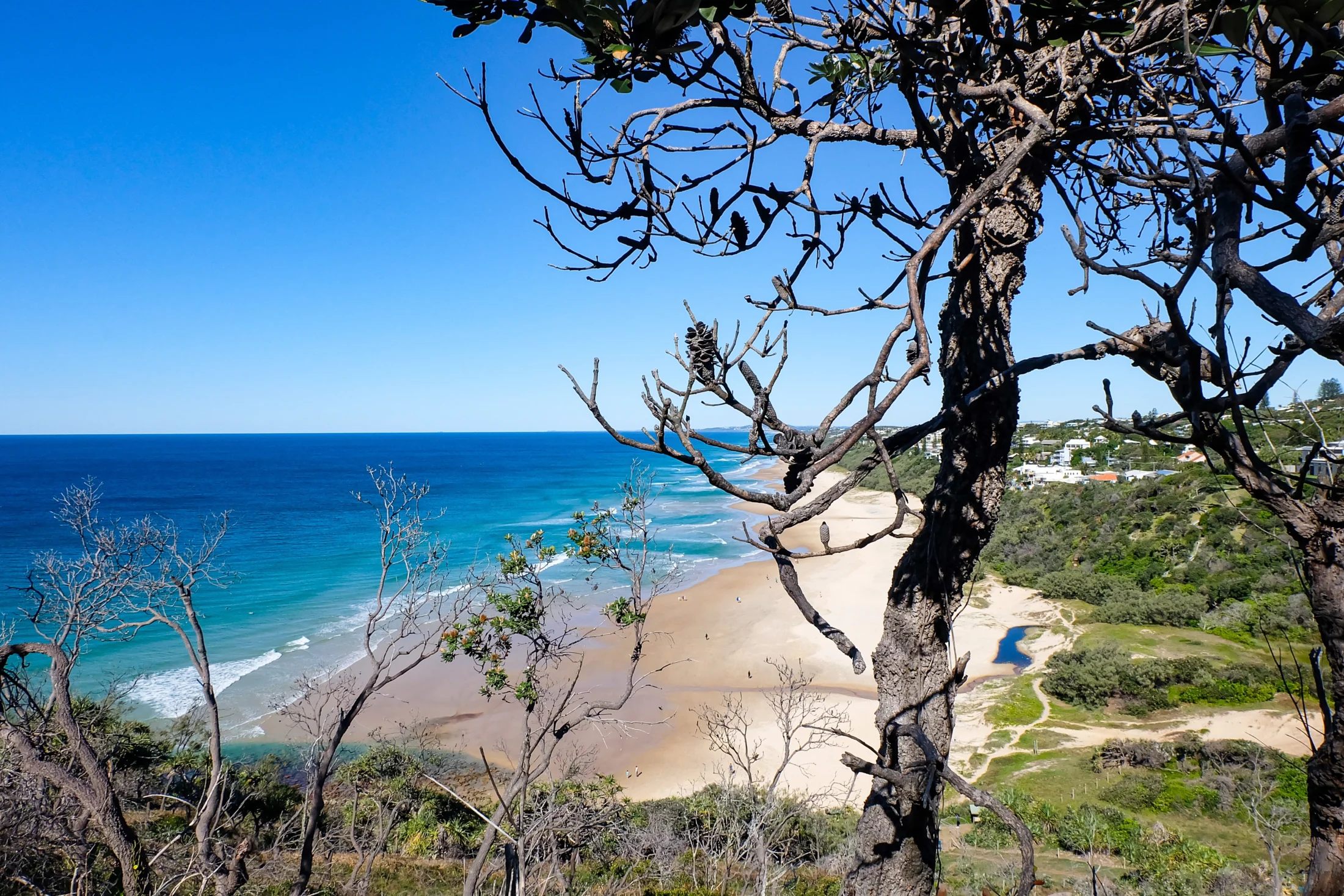 10 Best Cheap Christmas Holiday Destinations; noosa | Swoosh Finance