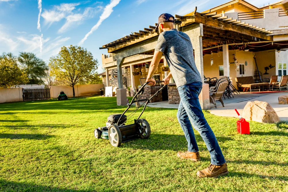 Mowing your neighbours laws | Swoosh Finance