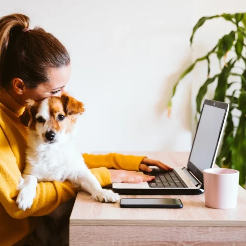 Working from home for your second job | Swoosh Finance