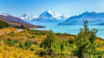 Lush Landscape of New Zealand | Swoosh Finance