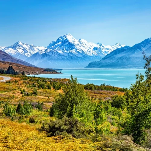 Lush Landscape of New Zealand | Swoosh Finance