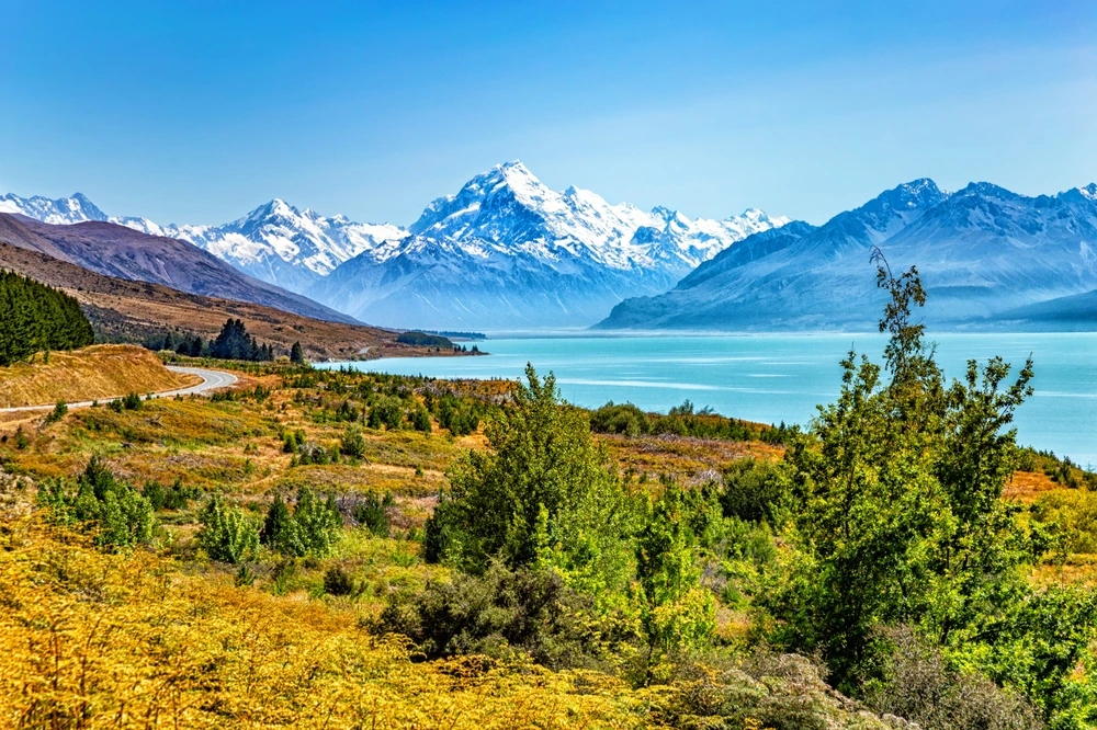 Lush Landscape of New Zealand | Swoosh Finance