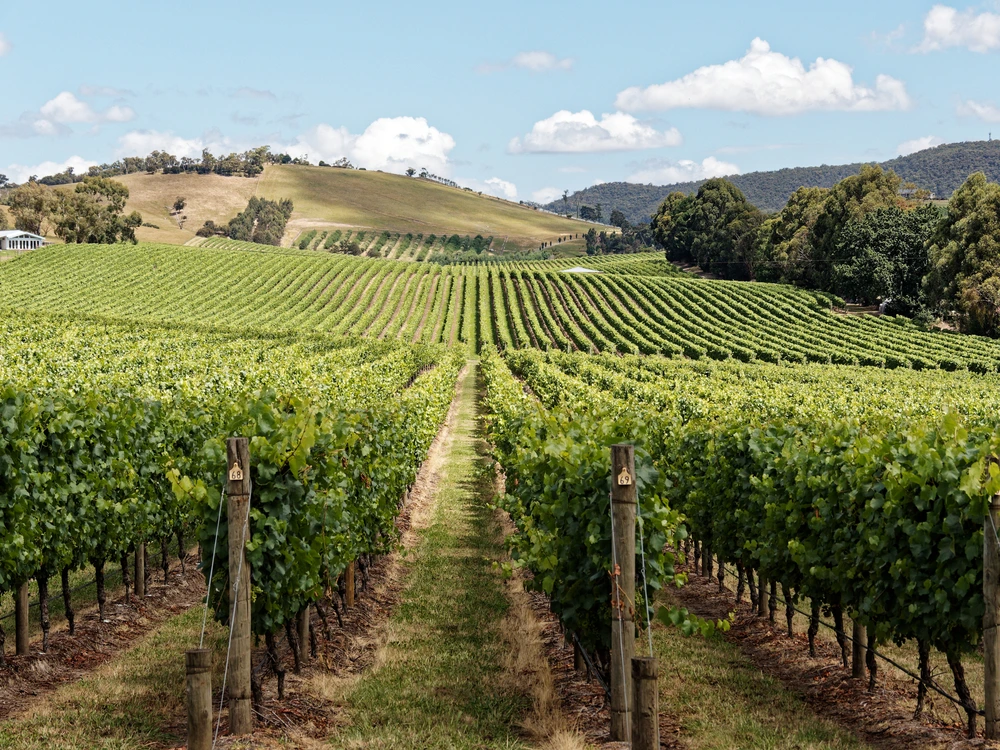 Yarra Valley Victoria | Swoosh Finance